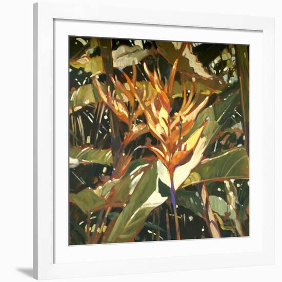 Orange Heleconia-Darrell Hill-Framed Giclee Print