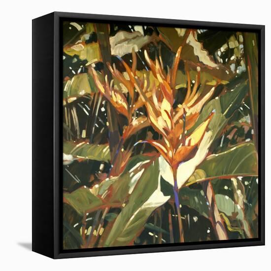 Orange Heleconia-Darrell Hill-Framed Stretched Canvas