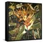 Orange Heleconia-Darrell Hill-Framed Stretched Canvas