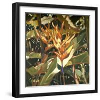 Orange Heleconia-Darrell Hill-Framed Giclee Print