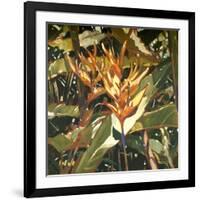 Orange Heleconia-Darrell Hill-Framed Giclee Print