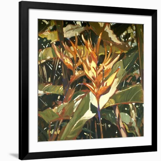 Orange Heleconia-Darrell Hill-Framed Giclee Print