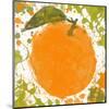 Orange II-Irena Orlov-Mounted Art Print