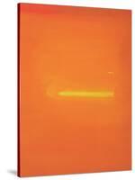 Orange Interior with Figure, 2000-John Miller-Stretched Canvas