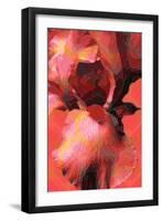 Orange Iris-Scott J. Davis-Framed Giclee Print