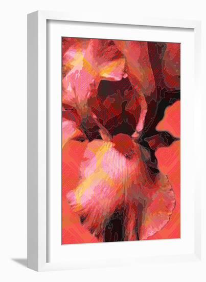 Orange Iris-Scott J. Davis-Framed Giclee Print