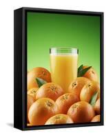 Orange Juice and Fresh Oranges-Miguel G^ Saavedra-Framed Stretched Canvas