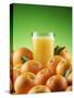 Orange Juice and Fresh Oranges-Miguel G^ Saavedra-Stretched Canvas