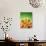 Orange Juice and Fresh Oranges-Miguel G^ Saavedra-Photographic Print displayed on a wall