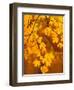 Orange Leaves-Art Wolfe-Framed Photographic Print
