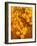 Orange Leaves-Art Wolfe-Framed Photographic Print