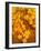 Orange Leaves-Art Wolfe-Framed Photographic Print