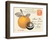 Orange Letter-Z Studio-Framed Art Print