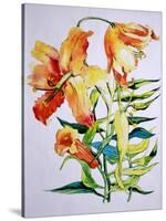 Orange Lilies 1,1985-Joan Thewsey-Stretched Canvas