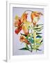 Orange Lilies 1,1985-Joan Thewsey-Framed Giclee Print