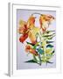 Orange Lilies 1,1985-Joan Thewsey-Framed Giclee Print