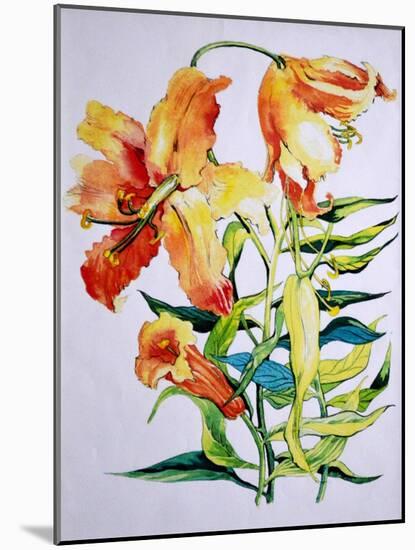 Orange Lilies 1,1985-Joan Thewsey-Mounted Giclee Print