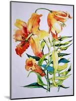 Orange Lilies 1,1985-Joan Thewsey-Mounted Giclee Print