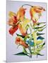 Orange Lilies 1,1985-Joan Thewsey-Mounted Giclee Print