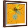 Orange Lite 2-Jan Weiss-Framed Art Print