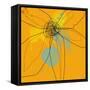 Orange Lite 2-Jan Weiss-Framed Stretched Canvas