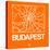 Orange Map of Budapest-NaxArt-Stretched Canvas