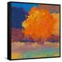 Orange Maple-Mike Kelly-Framed Stretched Canvas