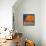 Orange Maple-Mike Kelly-Framed Stretched Canvas displayed on a wall