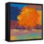Orange Maple-Mike Kelly-Framed Stretched Canvas