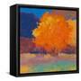 Orange Maple-Mike Kelly-Framed Stretched Canvas