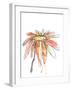 Orange Modern Botanical-Jan Weiss-Framed Art Print