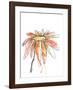 Orange Modern Botanical-Jan Weiss-Framed Art Print