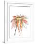 Orange Modern Botanical-Jan Weiss-Framed Art Print