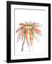 Orange Modern Botanical-Jan Weiss-Framed Art Print