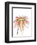 Orange Modern Botanical-Jan Weiss-Framed Art Print