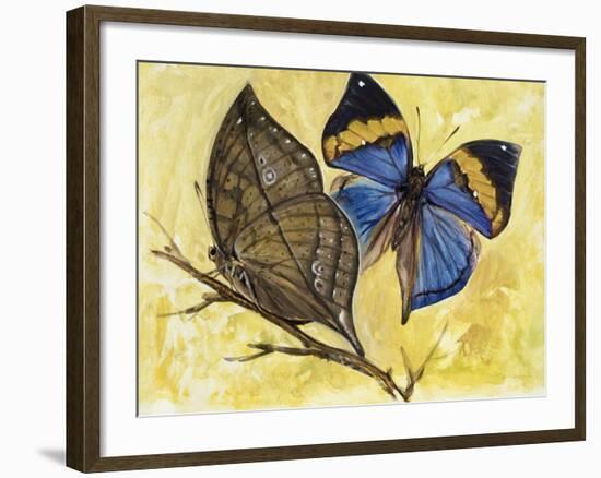 Orange Oakleaf or Dead Leaf (Kallima Inachus), Nymphalidae-null-Framed Giclee Print