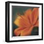 Orange on Turquoise-Jane Ann Butler-Framed Giclee Print