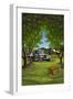 Orange Orchard Scene-Lantern Press-Framed Art Print