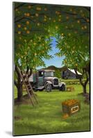 Orange Orchard Scene-Lantern Press-Mounted Art Print