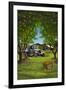 Orange Orchard Scene-Lantern Press-Framed Art Print