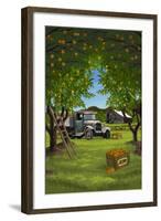 Orange Orchard Scene-Lantern Press-Framed Art Print