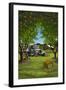 Orange Orchard Scene-Lantern Press-Framed Art Print