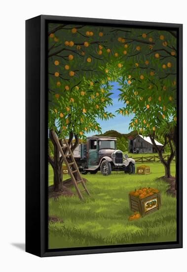 Orange Orchard Scene-Lantern Press-Framed Stretched Canvas