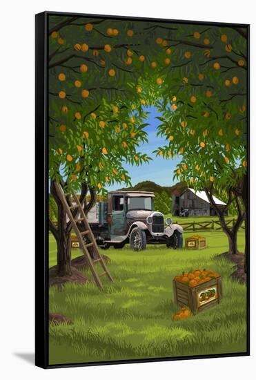 Orange Orchard Scene-Lantern Press-Framed Stretched Canvas