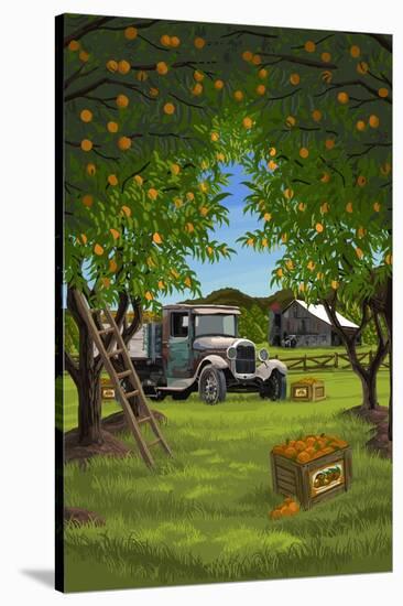 Orange Orchard Scene-Lantern Press-Stretched Canvas