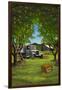 Orange Orchard Scene-Lantern Press-Framed Art Print