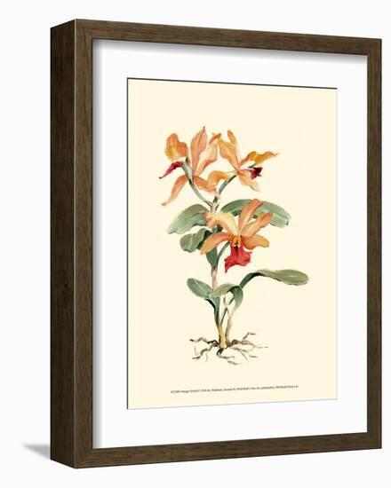 Orange Orchid-Joy Waldman-Framed Art Print