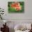 Orange Orchid-Don Spears-Stretched Canvas displayed on a wall