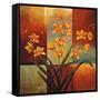 Orange Orchid-Jill Deveraux-Framed Stretched Canvas