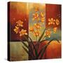 Orange Orchid-Jill Deveraux-Stretched Canvas